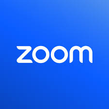 Zoom Clone
